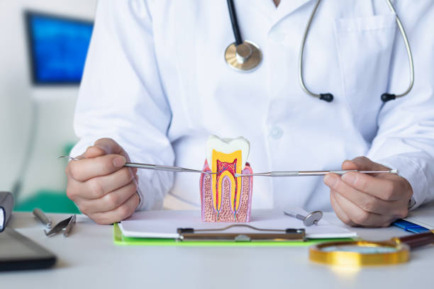 Best Emergency Root Canal Treatment in Wahoo, NE